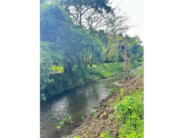 ขายที่ดินตำบลแม่ออนออนกลางติดลำน้ำพร้อมโอน