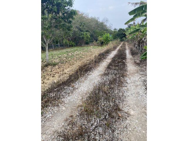 ขายถูกที่ดิน2ไร่1งาน52ตรว อยู่ ชากบก บ้านค่าย ระยอง