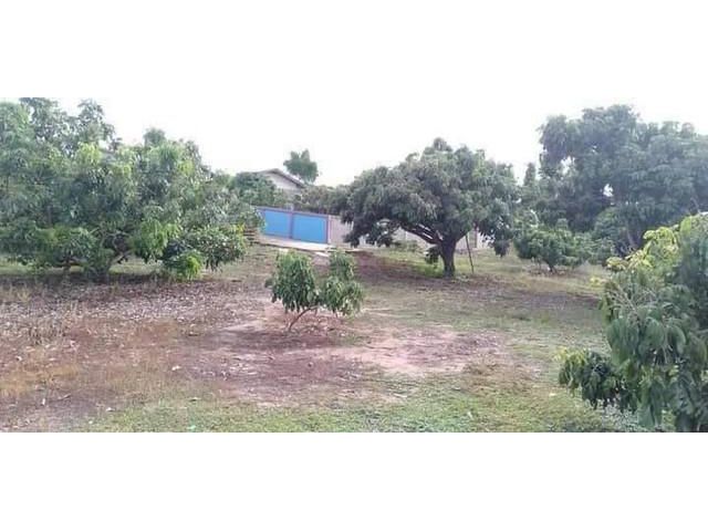 ที่ดิน 8-2-95ไร่ 4.5ลบ.บ.ป่าแดง แม่ทะลบ ไชยปราการ