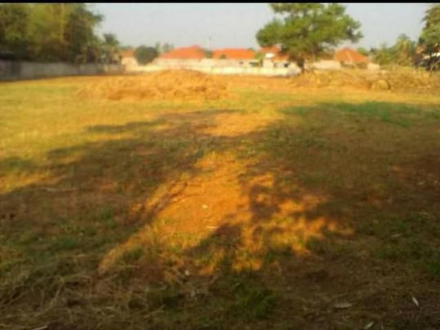 ขายที่ดินเริ่ม170ว. 2.55ล. กาดฝรั่ง ต.บ้านแหวน หางดง เชียงใหม่