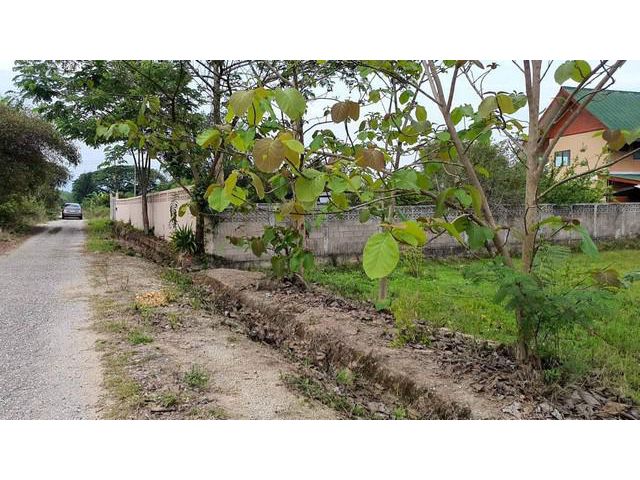 ที่ดิน 398ว. 1.5ล. ครึ่งประเมิน บิ๊กซีหางดง2 หางดง เชียงใหม่