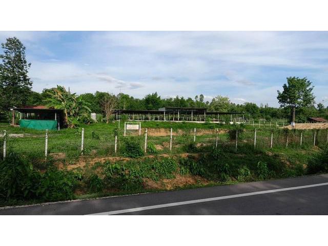 ขายที่ดิน 9ไร่3ง.3.5ล.ฟาร์มวัว ต.เวียงตาล อ.ห้างฉัตร ลำปาง