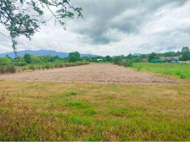 ขายที่ดินตำบลป่าไผ่ห่างมหาวิทยาลัยแม่โจ้เพียง 1.8กม