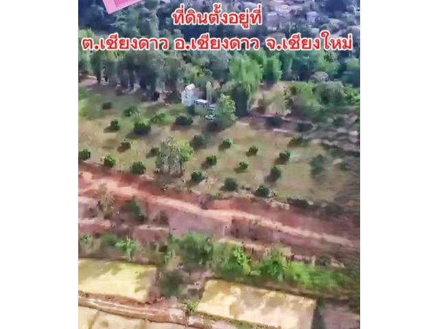 ขายด่วนที่ดิน เชียงดาว ทำเลนี้ ที่ดินแปลงนี้ราคาถูกสุดๆ								 ที่อยู่บนเนิน น้ำไม่ท่วม วิวเขาล้อมรอบ วิวดอยหลวงเชียงดา