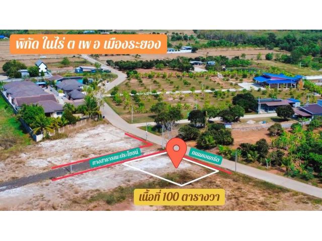 ขายที่ดินเปล่าต.เพในไร่จ.ระยองเนื้อที่100ตรว.ใกล้หาดแม่รำพึงจ.ระยองขายราคา1.200.000ลบ