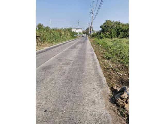 ขายที่ดินถมแล้วแปลงสวย ราคาถูก ต.ศาลายา ติดถนนคอนกรีต ใกล้มหิดลศาลายา เนื้อที่ 205 ตรว.เหมาะปลูกบ้านทำธุรกิจประเภทต่างๆ