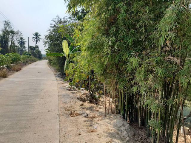 ขายด่วนที่ดิน ต.บางแก้วฟ้า ราคาถูก ใกล้ชุมชน ใกล้แหล่งท่องเที่ยว เนื้อที่ 1ไร่ อากาศดีสงบร่มรื่น เหมาะปลูกบ้านพักอาศัย