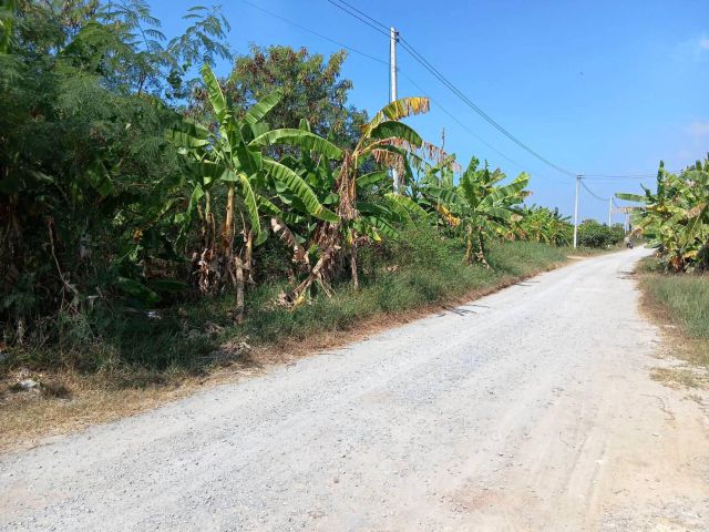 ขายที่ดินเขตคลองโยง แปลงสวย ติดถนนสาธารณะ ใกล้ ศาลายา ใกล้ชุมชน เนื้อที่ 390 ตรว. เหมาะปลูกบ้านทำธุรกิจจัดสรร