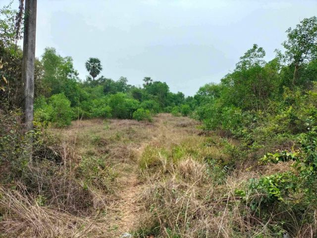 L1437 ขายที่ดินทำเลดี 11 ไร่ ประจันตคาม ปราจีนบุรี