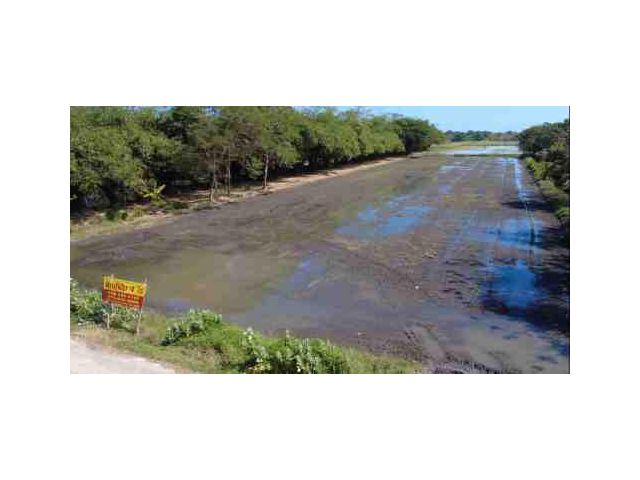 ขายที่ดินคลองหก ไร่ละ3ล้านเอง ลดด่วนร้อนเงิน 4 ไร่ (ถูกสุดแล้ว)