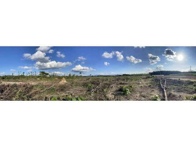 L1442 ขายที่ดินวิวภูเขา ติดแม่น้ำยม 30 ไร่ เชียงม่วน พะเยา