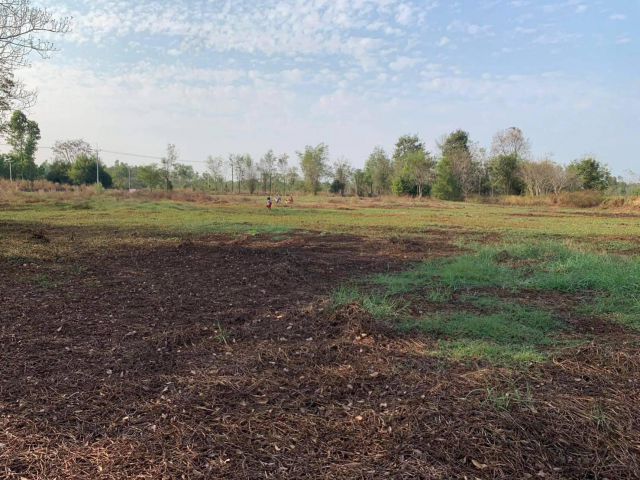 L1443 ขายที่ดินทำเลดี 11 ไร่ เมืองสระแก้ว