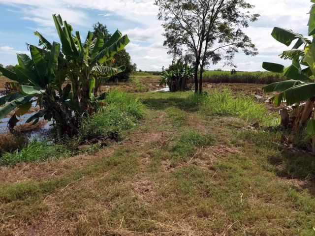 L1445 ขายที่ดินสวยทำเลดี 36 ไร่ เมืองสระแก้ว