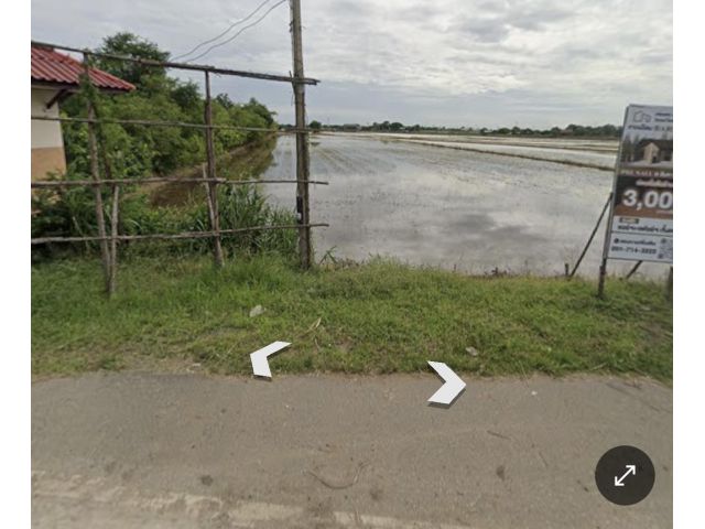 ขายที่ดิน ติดเเม่นำ้ป่าสัก 5-2-20ไร่ เหมา 8ล้าน ต.บ้านเกาะ อ.พระนครศรีอยุธยา จ. พระนครศรีอยุธยา ที่ดินติดถนนลาดยาง