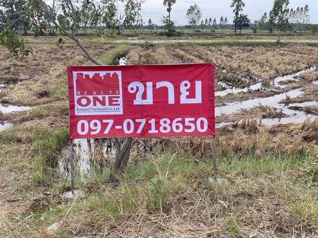 ขายด่วนที่ดินเปล่า อ.โนนแดง เนื้อที่ 11 ไร่ 93 ตร.ว. เพียง 1.1 ลบ