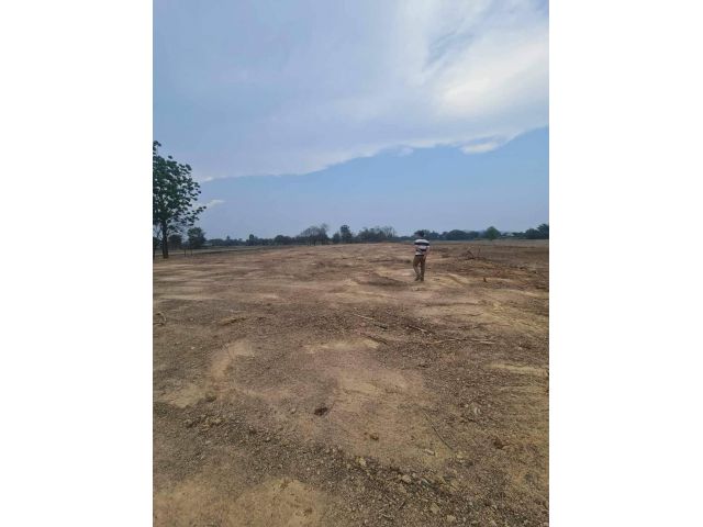 L1447 ขายที่ดิน 5 ไร่ ปากท่อ ราชบุรี