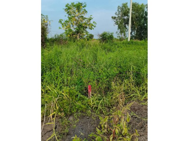 L1449 ขายที่ดิน 364 ตรว คลองสามวา กรุงเทพฯ