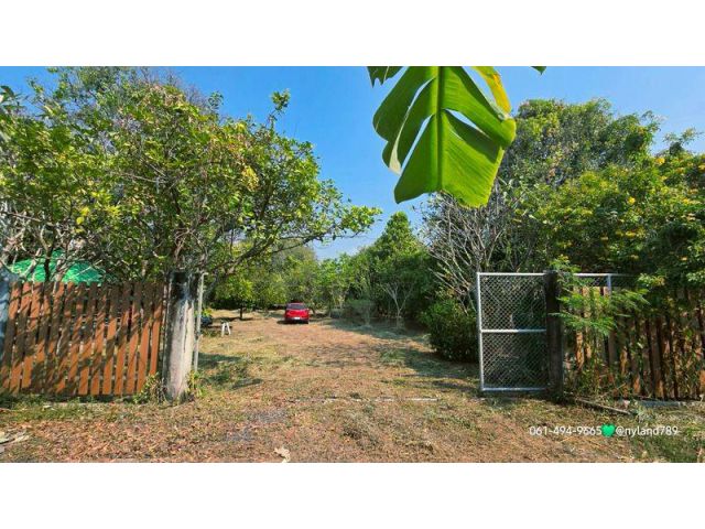 ขายสวนผลไม้รวม ใกล้เขื่อนขุนด่าน ต.หินตั้ง อ.เมือง จ.นครนายก