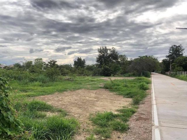 ขายที่ดินตำบลป่าแดดติดถนนคอนกรีตพร้อมโอน