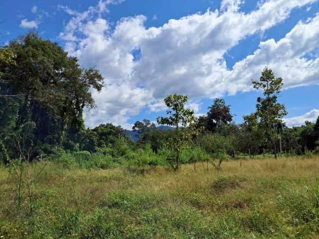 ขายที่ดินโฉนดเนื้อที่ 5 ไร่ ถมแล้ว วิวเขา