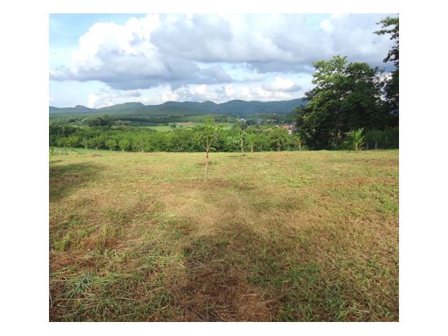 ขายที่ดินแปลงสวยบนเนินเขา 15 ไร่(โฉนด)ใกล้ตัวเมือง อ.เมือง จ.เลย