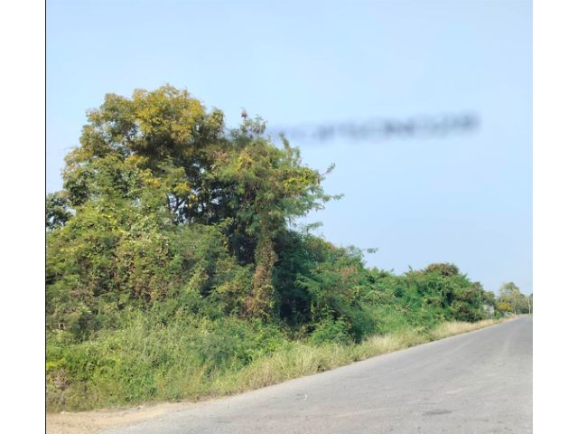 ขายถูกมาก ไร่ละไม่ถึงล้าน ที่ดินติดถนน ทำเลดีมีศักยภาพสูง 6.5ไร่ ต.ห้วยขวาง อ.กำแพงแสน นครปฐม