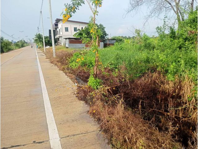 ขายที่ดิน ต.นราภิรมย์ ถมแล้ว แปลงสวย ทำเลดี ติดถนนคอนกรีต ใกล้ ถนน 4เลน ใกล้ ตลาด เนื้อที่ 160 ตรว.เหมาะปลูกบ้านทำธุรกิจ