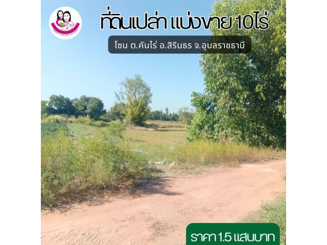 (UL-67046) ที่ดินแบ่งขาย 10ไร่  ต.คันไร่ อ.สิรินธร จ.อุบลราชธานี