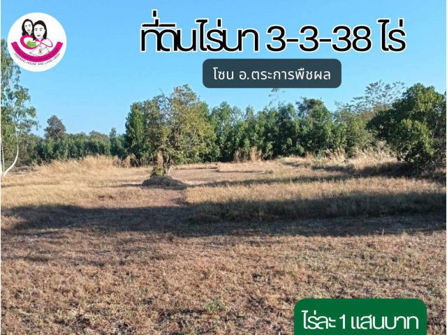 (UL-680007) ขายที่นา บ้านโนนบ่อแบงตำบลขามเปี้ย อำเภอตระการพืชผล จังหวัดอุบลราชธานี