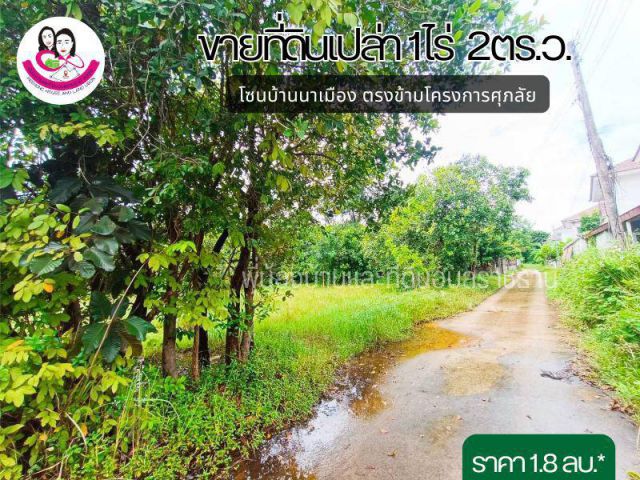 (UL-670428) ขายที่ดิน โซนบ้านตำแย-นาเมือง