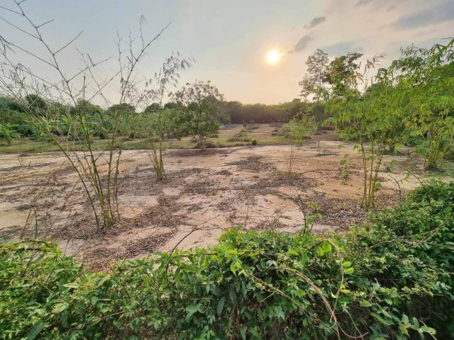 L1450 ขายที่ดินทำเลดี 2 ไร่ หน้ากว้าง 54 เมตร เมืองปราจีนบุรี