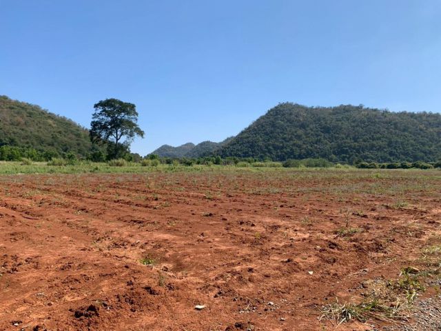 ขายที่ดิน หนองน้ำแดง ปากช่อง นครราชสีมา