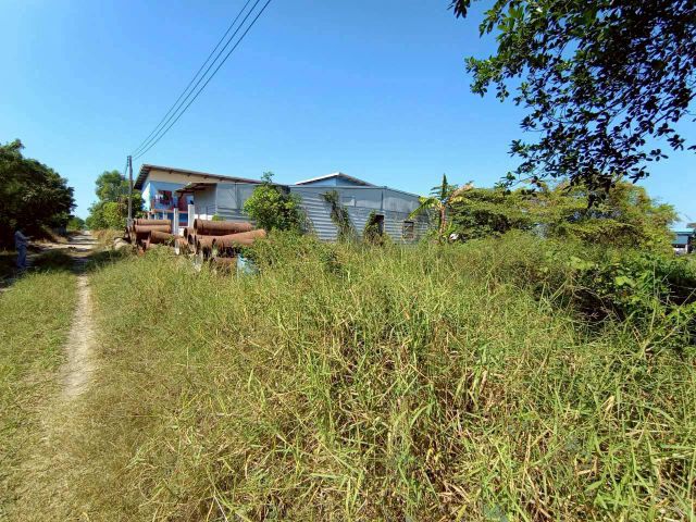 ขายด่วน ที่ดินเปล่า 100 ตรว. กว้าง 17 ลึก 22 ธัญญบุรี คลอง 6 ที่ดินเหมาะสร้างที่พักอาศัย หรือ โกดังขนาดเล็ก