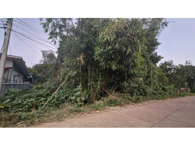 ขายด่วนที่ดินเปล่า สามารถแบ่งจัดสรรเป็นบ้านที่อยู่อาศัยได้ เมืองนครพนม จ.นครพนม