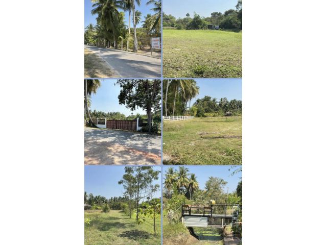 ที่ดินเปล่าติดถนน/ชุมชน