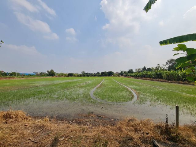 ขายที่ดิน 5 ไร่ 3 งาน 56.3 ตารางวา หน้ากว้าง 107.72 เมตร ยาว 77.01 เมตร