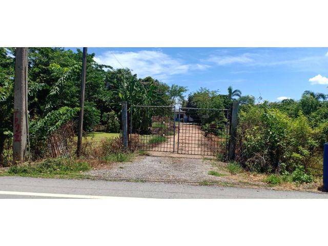 ขายที่ดิน 40 ไร่ ถนนเลียบคลอง 12 ฝั่งตะวันตก ใกล้อบต.นพรัตน์ อ.หนองเสือ จ.ปทุมธานี