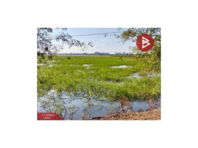 ขายที่ดิน เนื้อที่ 5 ไร่ 28 ตารางวา ต.บ้านขวาง อ.มหาราช พระนครศรีอยุธยา