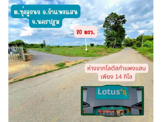 ที่ดิน ติดถนนลาดยาง กำแพงแสน ขนาด 80 ตร.วา ผ่อนได้