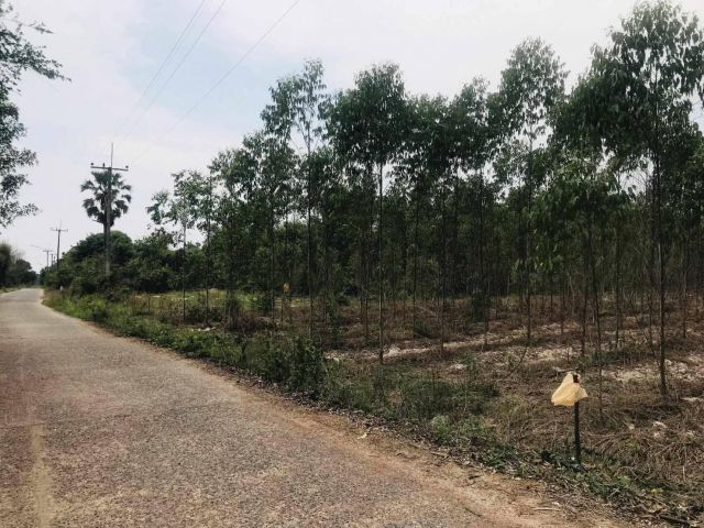 L1458 ขายที่ดิน 4 ไร่ กบินทร์บุรี ปราจีนบุรี