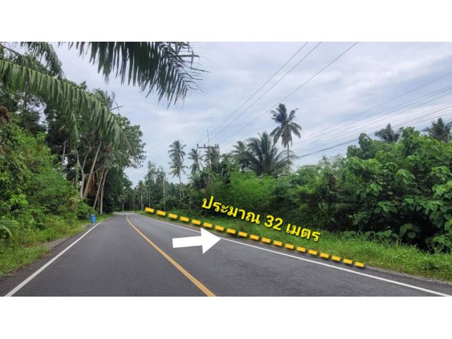 ขายที่ดินสวย หน้ากว้างติดถนนดำ 32 เมตร ราคาถูก ใกล้ตลาดนาวง ต.ท่าซัก อ.เมืองนครศรีฯ