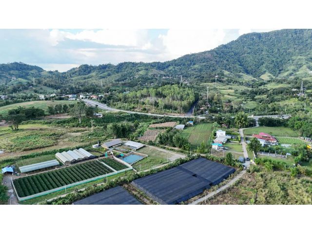 ด่วนที่สุด ขายที่ดินใกล้ทางหลวง 12 เขาค้อ จำนวน 9 ไร่(แบ่ง 3 ไร่ ได้)