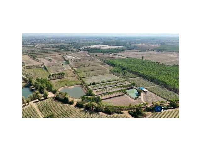 ดินถูกปราจีนบุรี  ใกล้เทศบาลกรอกสมบูรณ์ (หลังสนามไดร์ฟกอล์ฟ 304)    |ไร่ล่ะ 140,000 บาท ( 51-2-3 ไร่.)  ยกแปลง 7.2 ลบ. |