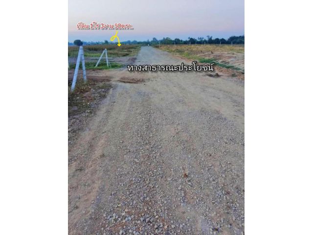 แปลงสุดท้าย ราคาถูก อำเภอเมืองสุพรรณบุรี 1ไร่3 งาน50ตรว.