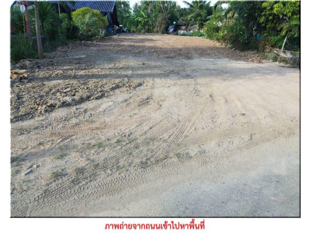 ขายที่ใกล้ถนนเพชรเกษม 100 ตรว. (ปข. - กุยบุรี - กุยบุรี)