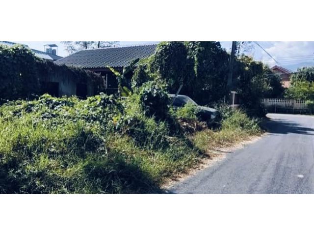 ขายที่ดินตำบลป่าตันในหมู่บ้านเทียมพรซอย 17 พร้อมโอน