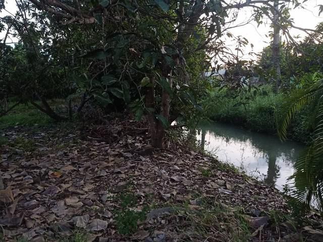 ขายที่ดิน137ว.1.37ล.ใกล้ตลาดประตูป่า ต.เหมือง่า เมือง ลำพูน