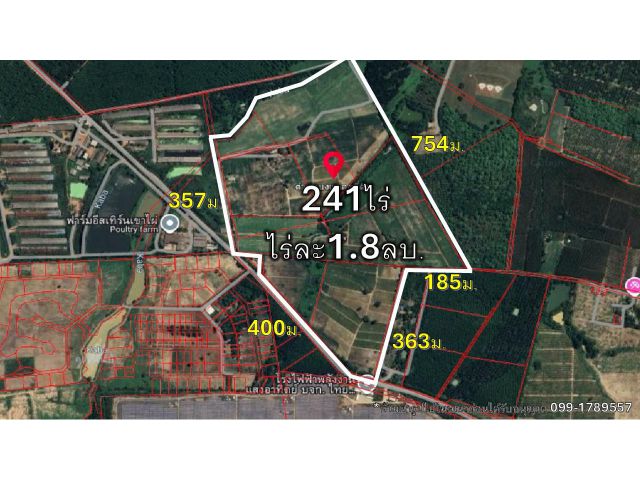 ขายที่ดินเปล่า อ.บ้านบึง 241 ไร่