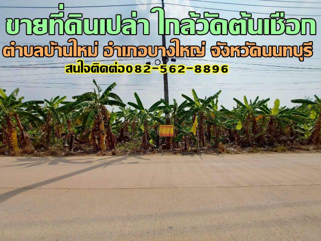 ขายที่ดินเปล่า ใกล้วัดต้นเชือก บางใหญ่ นนทบุรี