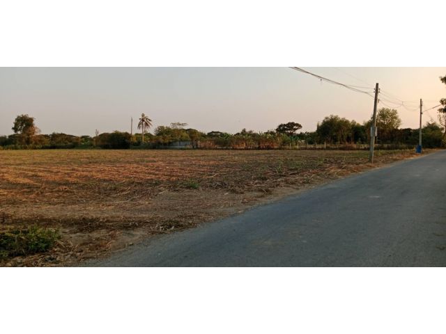 ขายที่ดิน 13 ไร่ ติดถนนลาดยาง หนองงูเหลือม เมือง นครปฐม